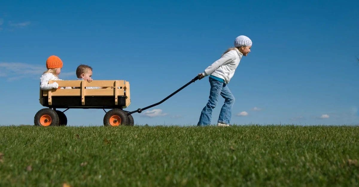 Εικόνα άρθρου